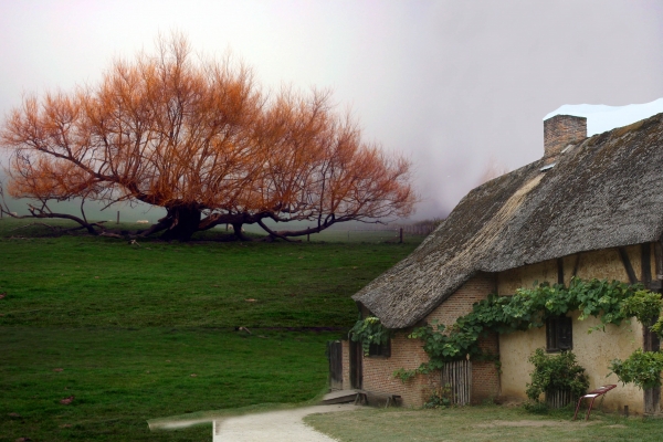 Creation of Misty Morning Cottage: Step 1